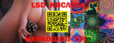 PSILOCYBIN Кулебаки