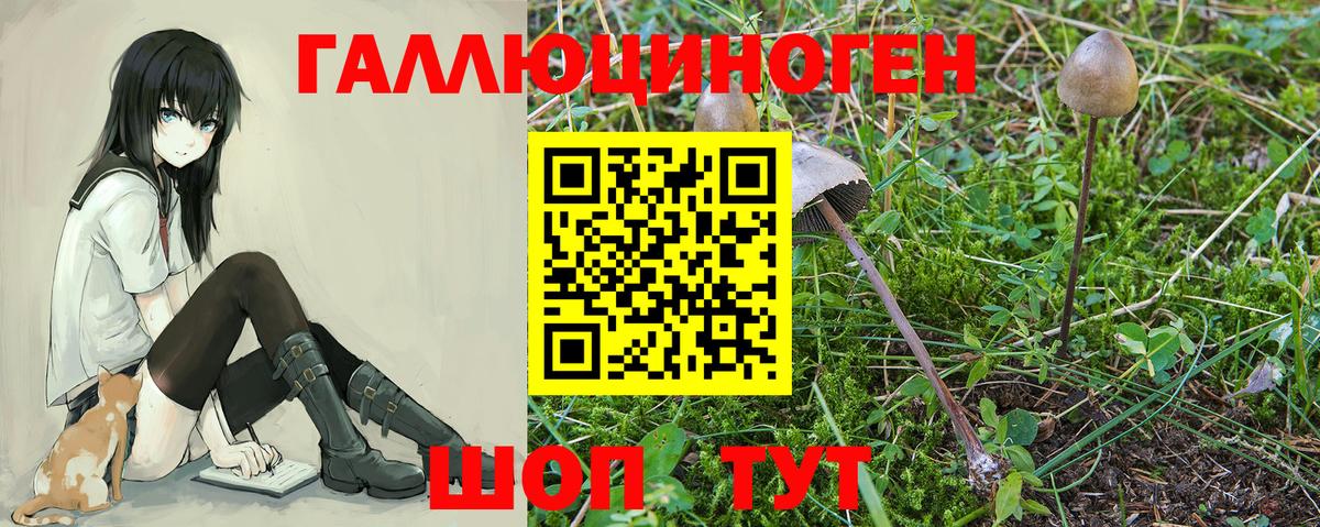 Донской  ГАШИШ  Меф  Вход с VPN  Меф МЯУ МЯУ кристаллы  Кокаин  ТГК  Магазины продажи наркотиков  Бошки Шишки 