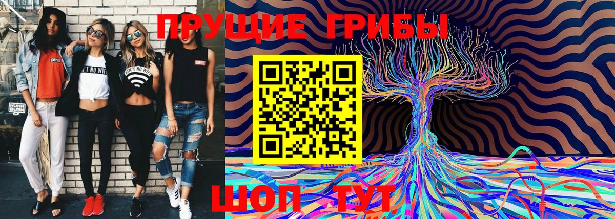 Галлюциногенные грибы GOLDEN TEACHER Донской